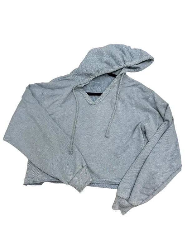Casual Men's Zip-Up HoodiesSweatshirt Hoodie By American Eagle In Blue, Size: M