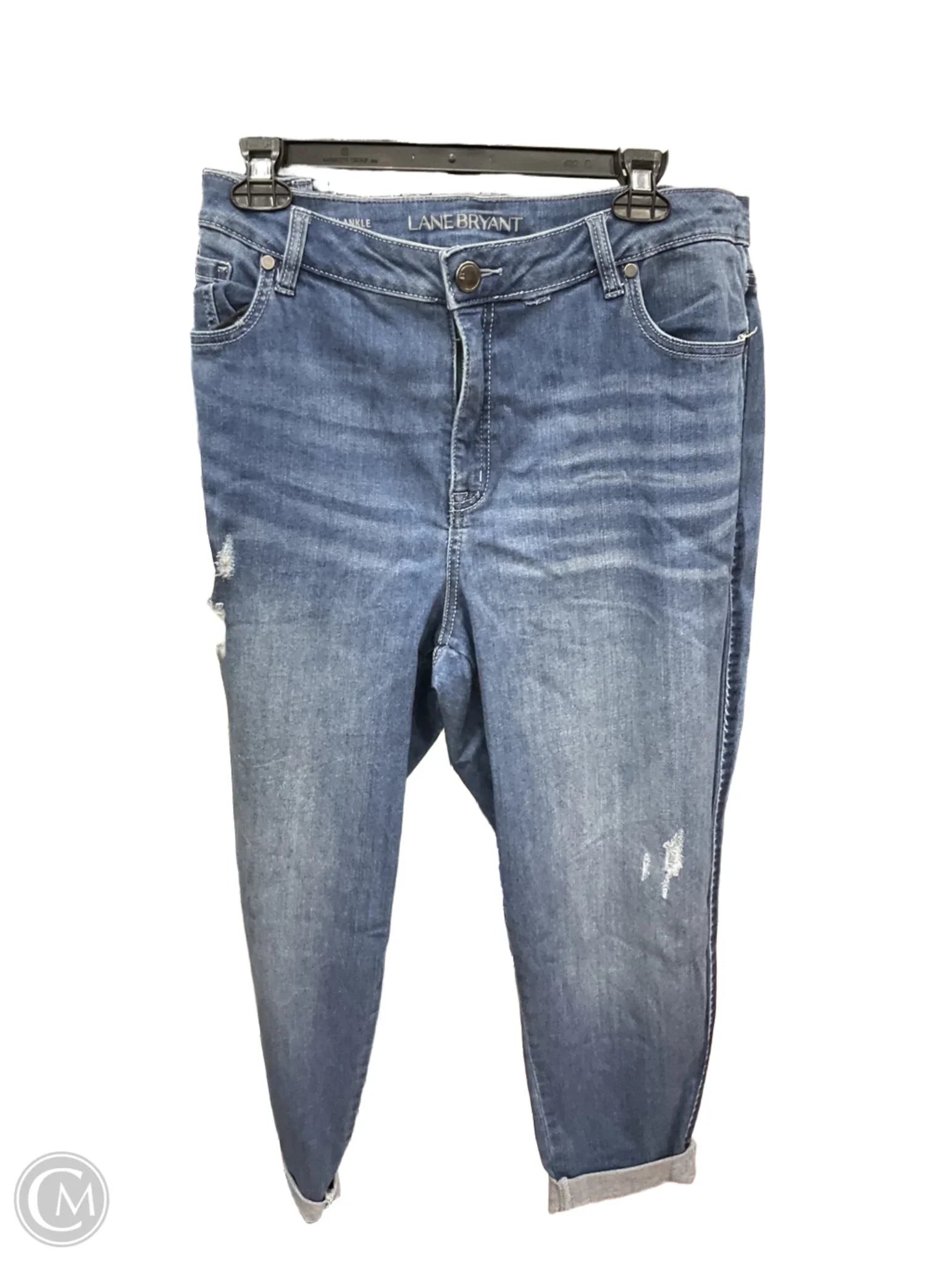Men's Skinny JeansJeans Skinny By Lane Bryant In Blue Denim, Size: 22