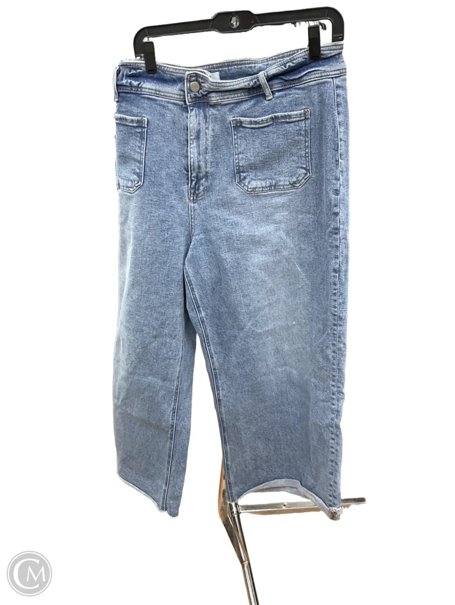 Baggy Cargo Men's JeansJeans Cropped By Clothes Mentor In Blue, Size: 20