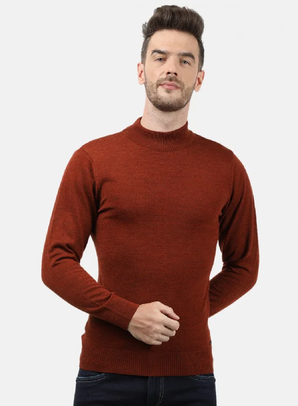 Men Brown Solid Pullover