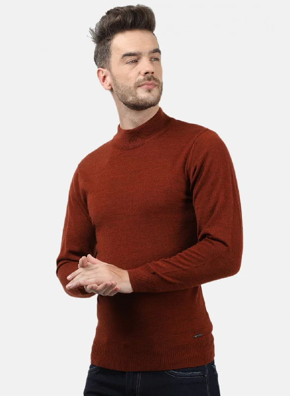 Men Brown Solid Pullover