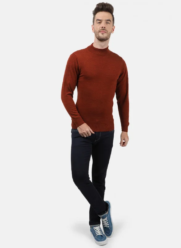 Men Brown Solid Pullover